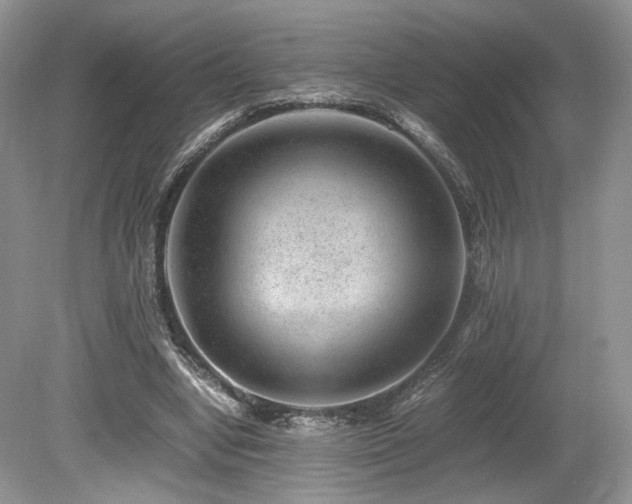 X0000080190442200612081431