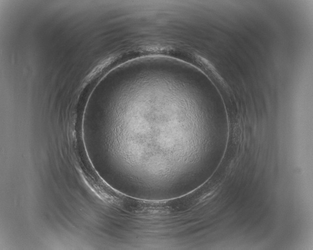 X0000080190443200612081431