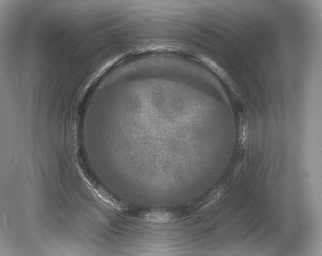 X0000080190444200612081431