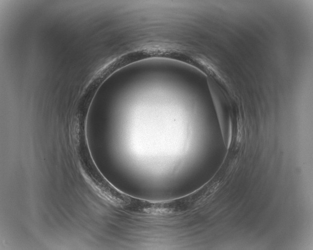 X0000080190448200612081431