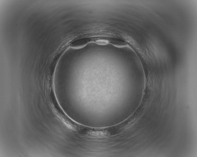 X0000080190449200612081431