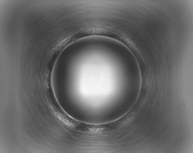 X0000080190450200612081431