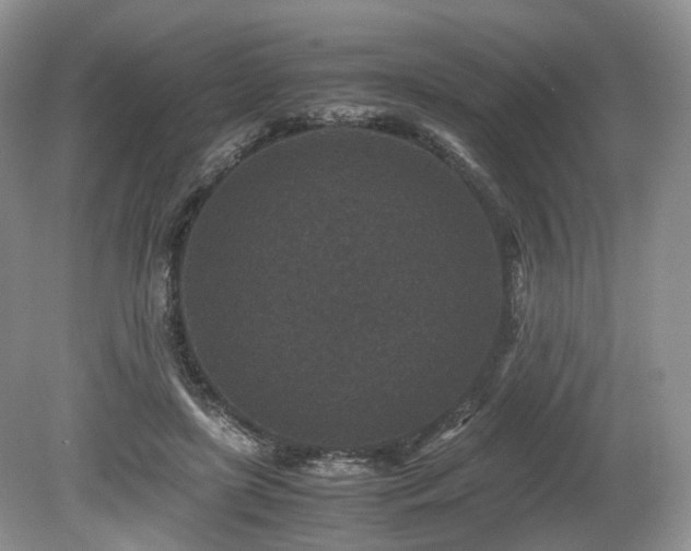 X0000080190451200612081431
