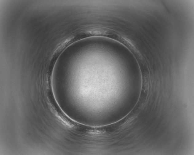 X0000080190453200612081432