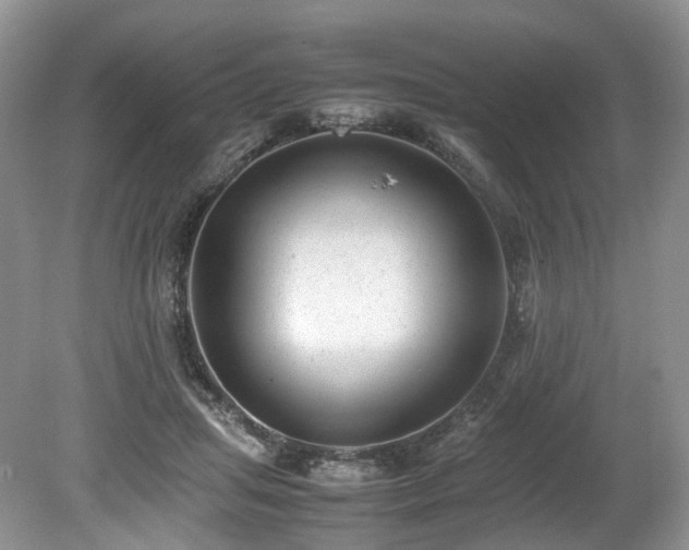X0000080190455200612081432