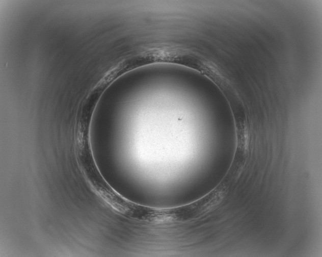 X0000080190456200612081432