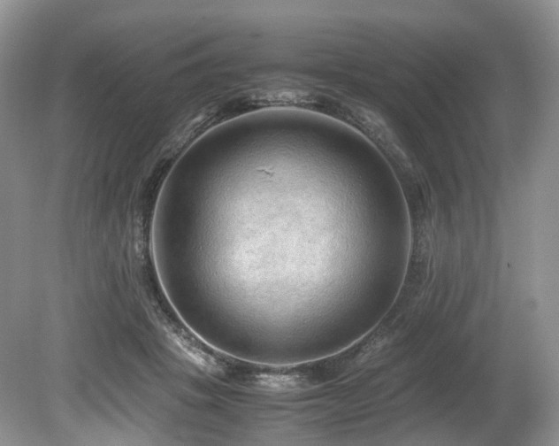 X0000080190457200612081432