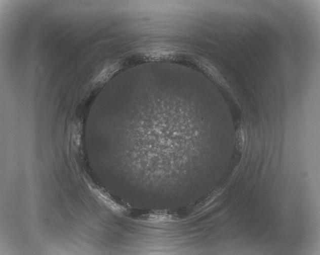 X0000080190458200612081432