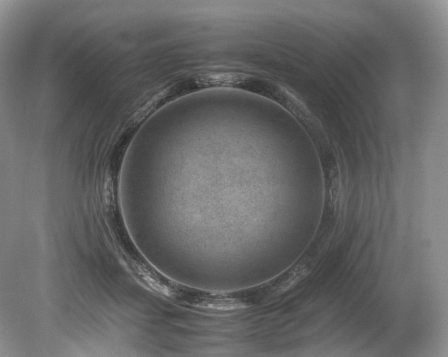 X0000080190459200612081432