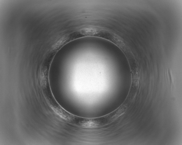 X0000080190460200612081432