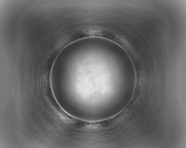 X0000080190461200612081432