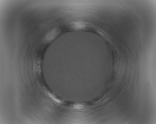 X0000080190462200612081432