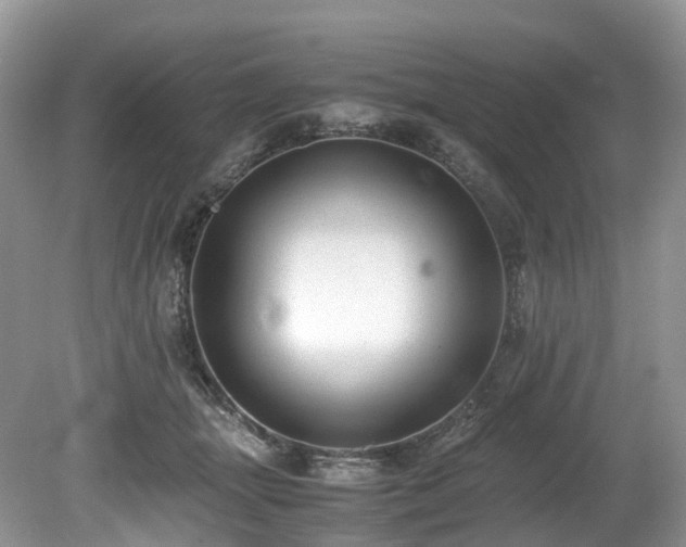 X0000080190463200612081432