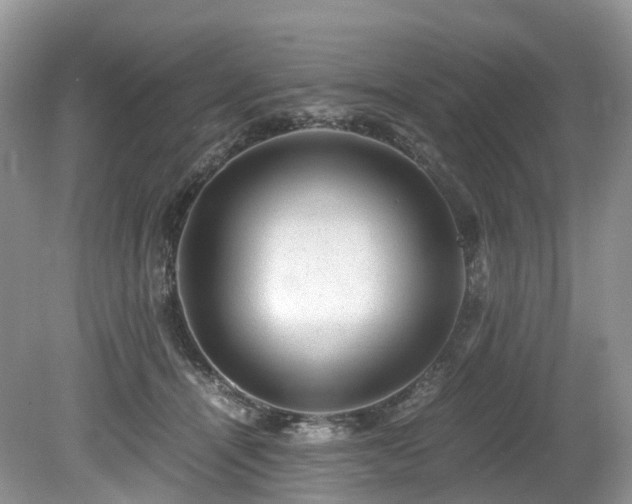 X0000080190464200612081432
