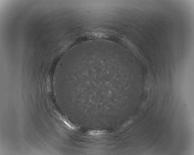 X0000080190465200612081432