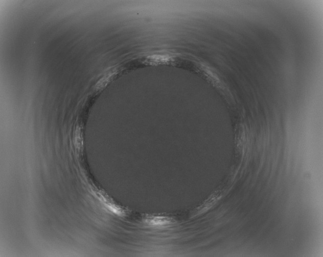 X0000080190467200612081432