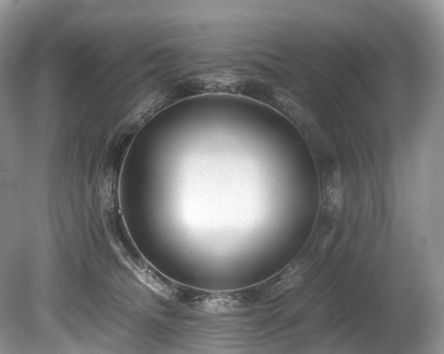 X0000080190468200612081432