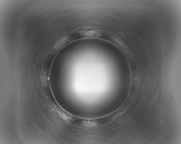X0000080190469200612081432