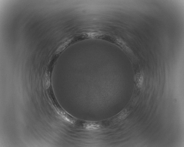X0000080190471200612081432