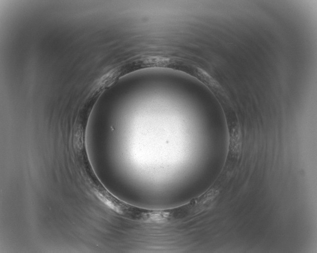 X0000080190474200612081432