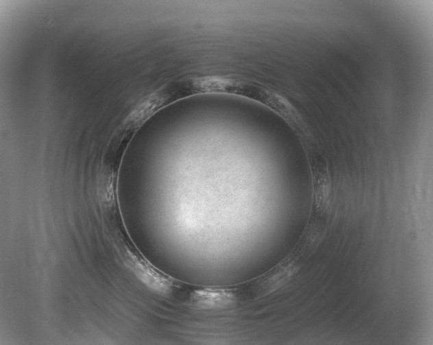 X0000080190477200612081432