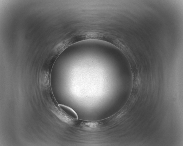 X0000080190478200612081432