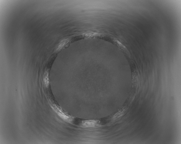 X0000080190479200612081432