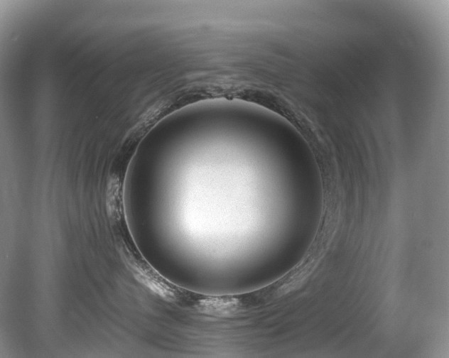 X0000080190480200612081432