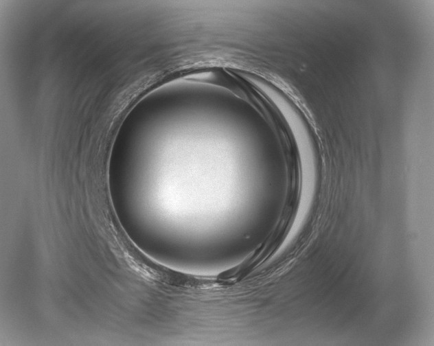 X0000080190481200612081431