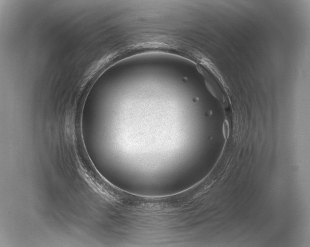 X0000080190482200612081431