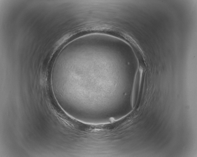 X0000080190483200612081431