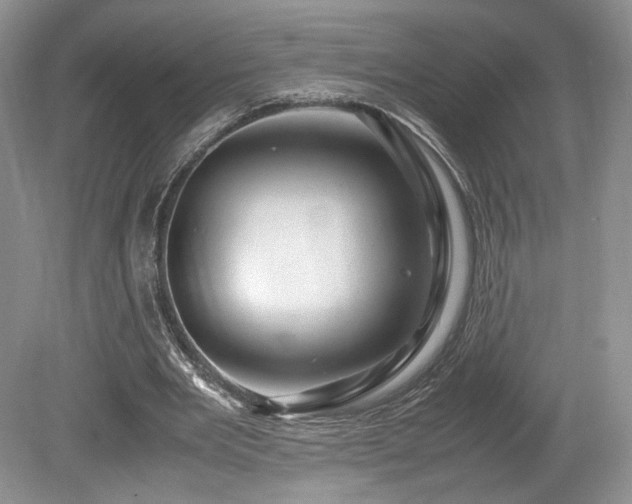 X0000080190485200612081431