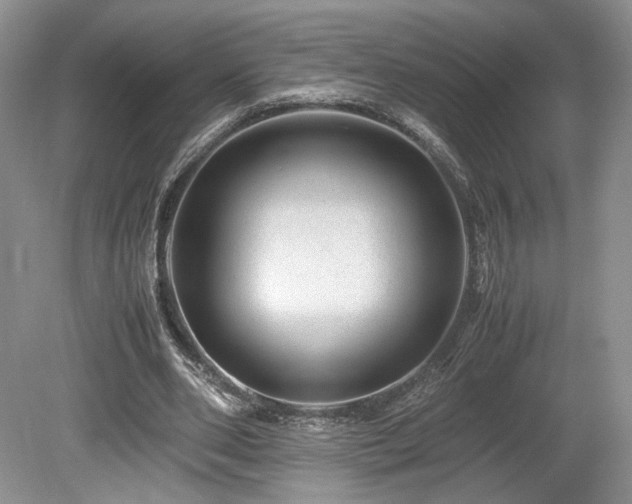 X0000080190486200612081431