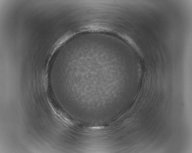 X0000080190488200612081431