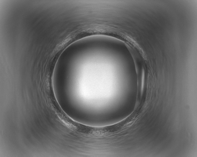 X0000080190489200612081431