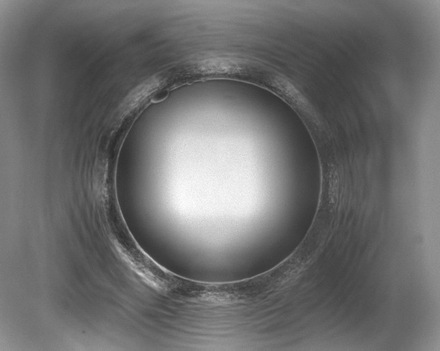 X0000080190490200612081431
