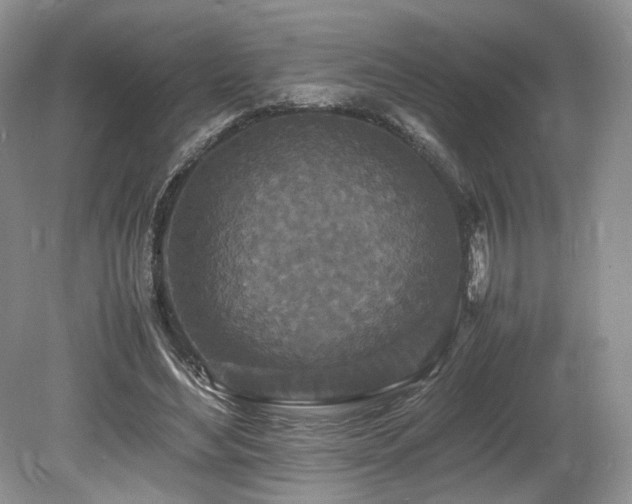 X0000080190492200612081431