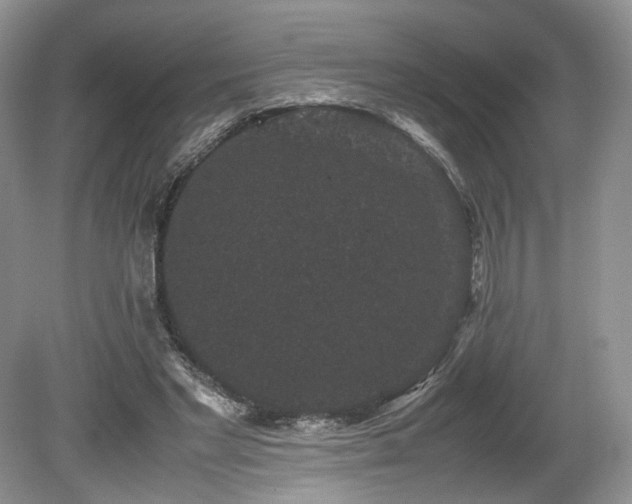 X0000080190493200612081431