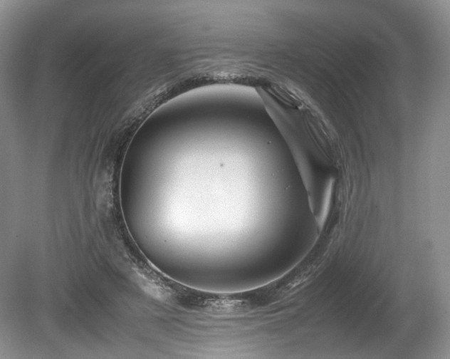 X0000080190497200612081431