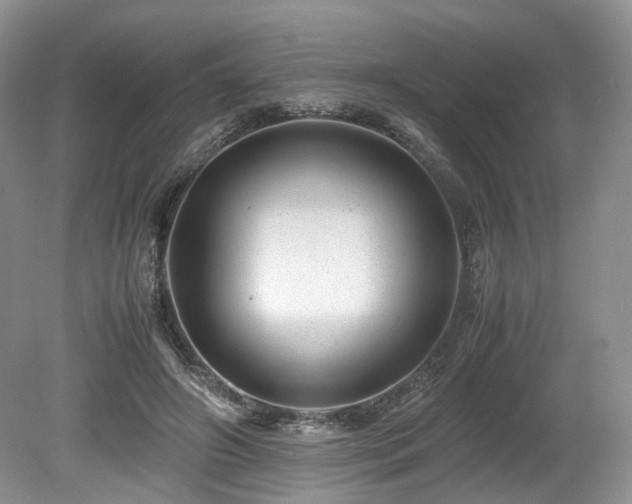 X0000080190498200612081431