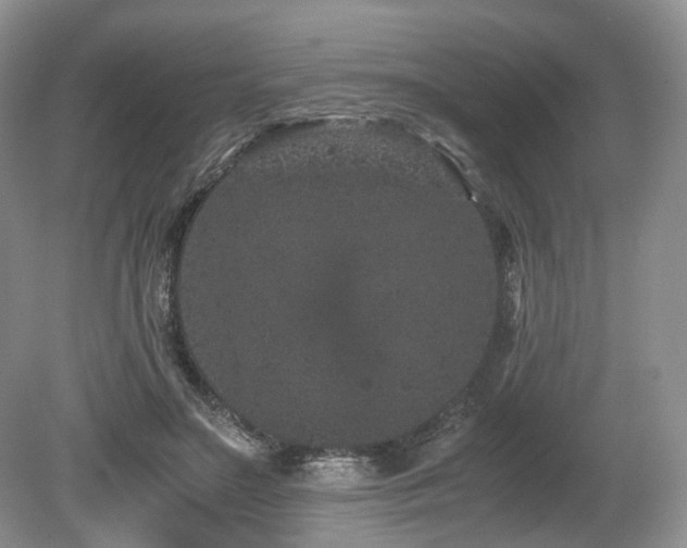 X0000080190499200612081431