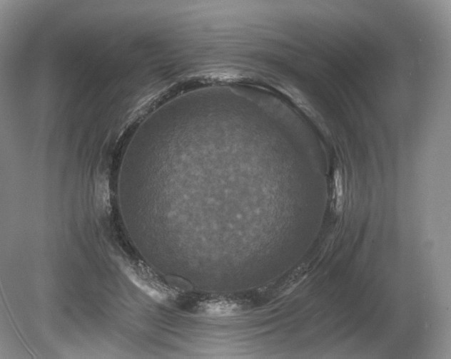 X0000080190500200612081431