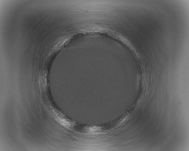 X0000080190501200612081431