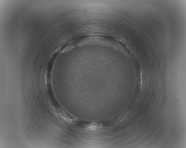 X0000080190504200612081431
