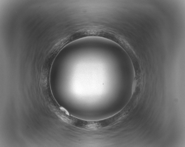 X0000080190505200612081431