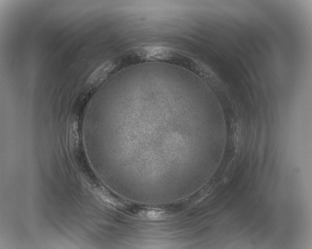 X0000080190506200612081431