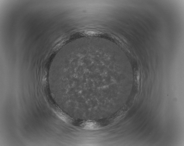 X0000080190507200612081431