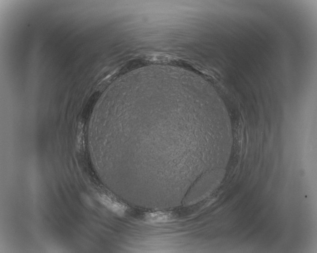 X0000080190511200612081431