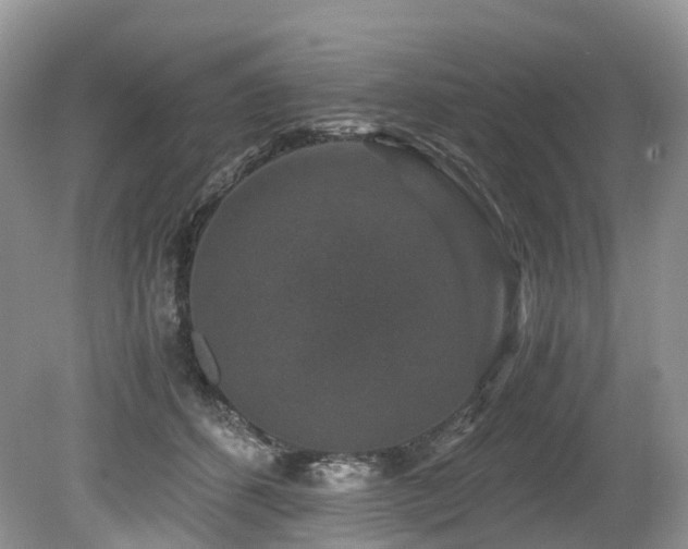 X0000080190512200612081431