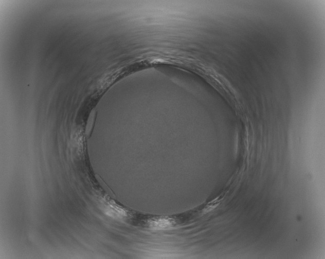 X0000080190513200612081431